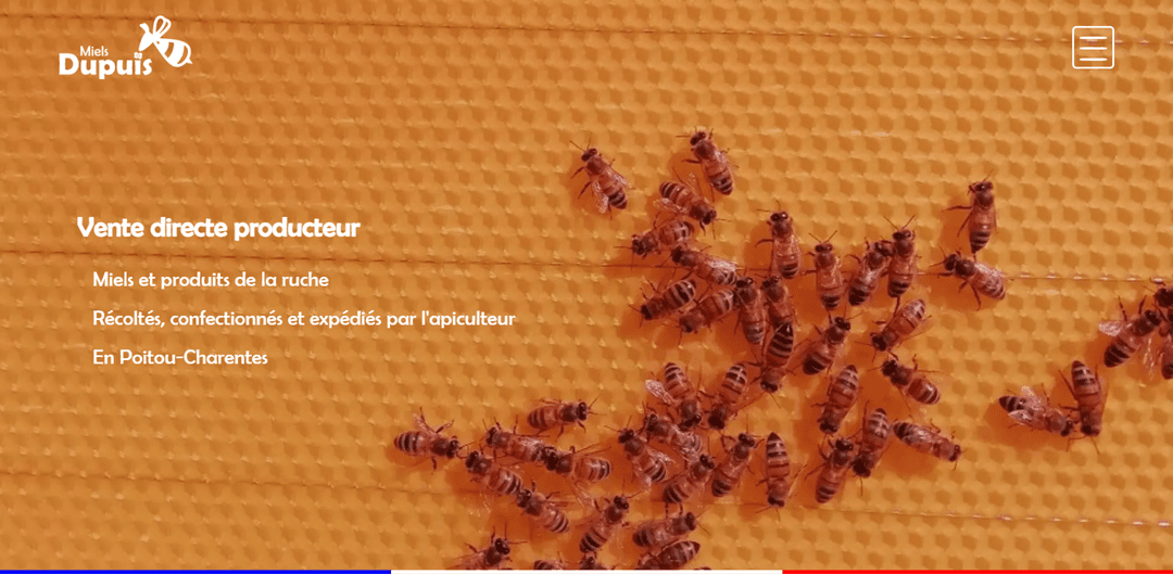 Une image représentant le projet Maquette MielsDupuis