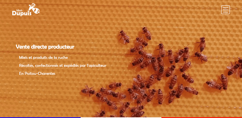 Une image du projet Maquette MielsDupuis